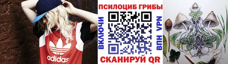 hydra ТОР  Хвалынск  Псилоцибиновые грибы Magic Shrooms 